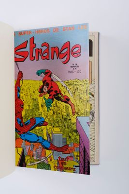 Spider-Man et Spider-Man survolent une ville dans une bande dessinée