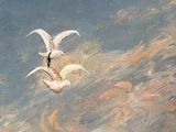deux oiseaux volant dans le ciel au-dessus d'un plan d'eau