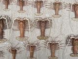 many different types of lobsters displayed on the wall