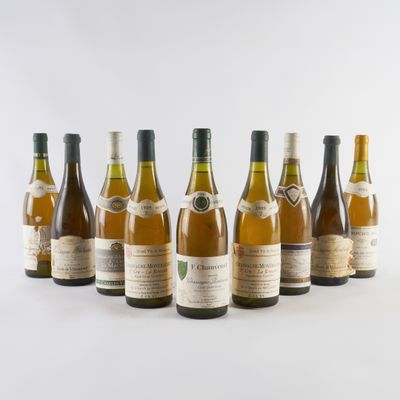 six bouteilles de vin alignées sur une surface blanche