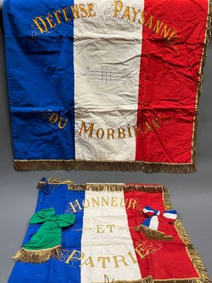 deux drapeaux de couleurs différentes sont représentés sur un fond gris