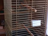 a cage with a bird inside of it on a table