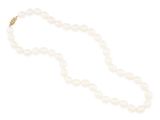 a white pearl necklace with a gold clasp on a white background