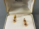 a close up of a pair of earrings in a box