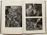 an open book with pictures of a man in the woods