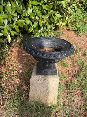 un bain d'oiseaux posé sur un socle en pierre dans l'herbe