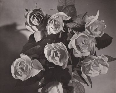 Pierre Auradon. Roses, vers 1950.