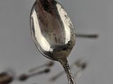 a spoon that is sitting on a table