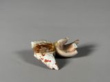 an image of a broken tooth with a toothbrush in it