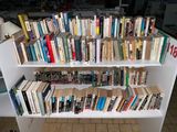 une étagère blanche sur laquelle sont posés de nombreux livres