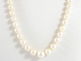 a close up of a white pearl necklace on a mannequin