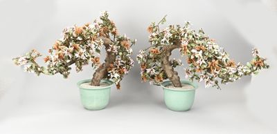 deux bonsaïs qui se trouvent dans le même pot