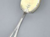 a close up of a silver spoon on a gray surface