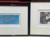 deux photos encadrées représentant deux oiseaux, accrochées au mur