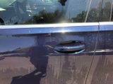 a dog that is standing on the door handle of a car