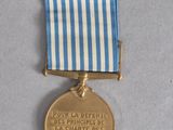 the medal is awarded by the french army for its service in world war i