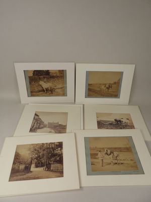 quatre photographies encadrées représentant un groupe de personnes dans un champ