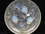 une plaque de verre sur laquelle se trouvent deux poissons, sur fond noir