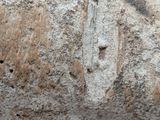 a close up of a rock with a hole in it