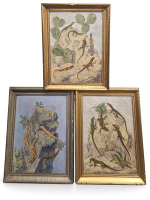 quatre tableaux encadrés représentant des oiseaux et des fleurs sur fond blanc