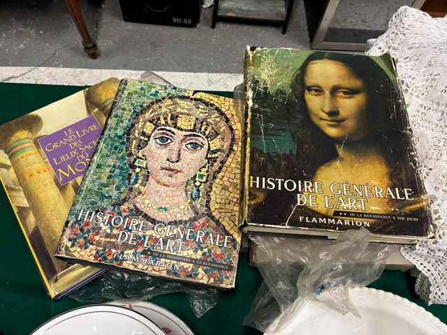 Lot de livres sur l'art, voyage et divers