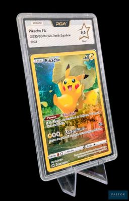 La carte Pokémon se trouve dans un étui en plastique transparent sur fond noir.