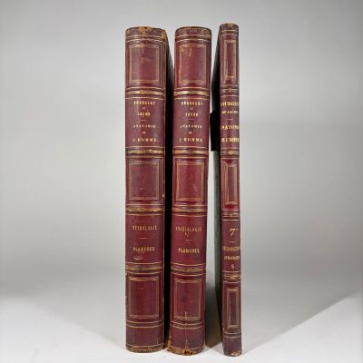 a pair of red books sitting on top of each other