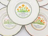four plates with flowers on them are arranged on a white surface