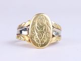 an image of a gold and silver ring with a gold coin in the center
