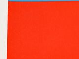 an image of a piece of art with a red and blue background