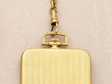 an image of a pair of earrings with a gold case on them