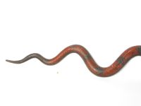 PAIRE D'APPLIQUES murales à une lumière en bronze émaillé po… (photo 4)