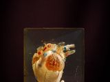 an image of a glass box with a heart inside of it