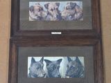 three framed pictures of dogs hanging on a wall in a room