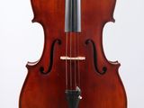 gros plan d'un violon sur fond blanc