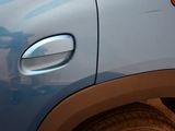 a close up of a car ' s door handle with a cat on it