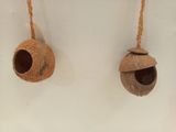 two coconuts hanging from a rope on the wall