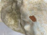 a close up of a statue of a man ' s head