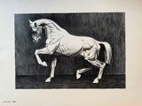 un dessin représentant un cheval debout sur ses pattes arrière