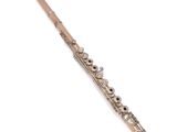 a close up of a flute on a white background