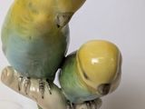 two yellow and green birds perched on a tree branch