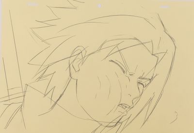 d'après l'œuvre de Masashi Kishimoto (岸本 斉史) - Hayato Date (…