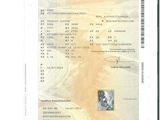 une photo d'un passeport sur lequel figure la photo d'un homme