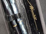 un stylo dans un étui qui contient un stylo
