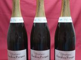 trois bouteilles de vin posées sur une table rouge