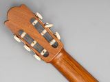 the neck of an acoustic guitar is made of wood and has four strings