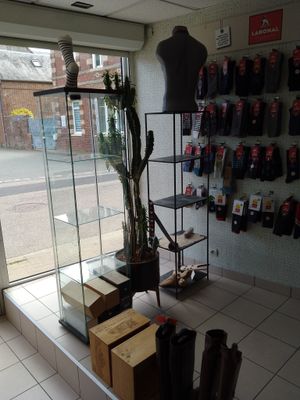 une vitrine contenant un arbre, dans un magasin