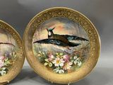 two plates with birds painted on them on display