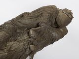 a close up of an elephant ' s trunk covered in mud