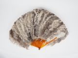 an overhead view of a feathered fan on a white surface